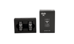 dabX Go Battery Kit